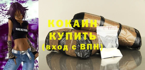 гидра Белокуриха