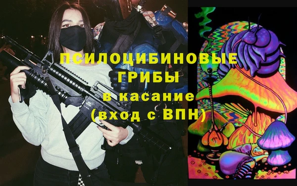 гидра Белокуриха